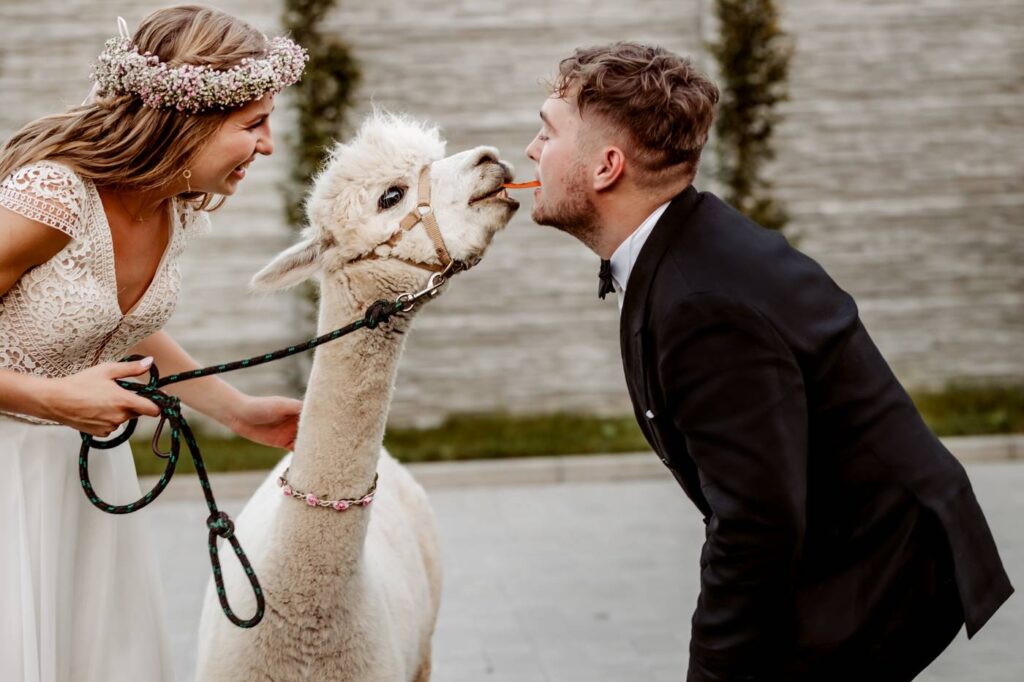 bianca studio photo reportaz slubny 01 34